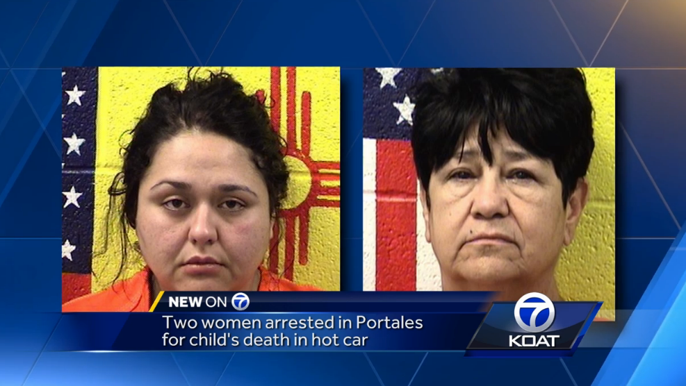 Day care workers indicted in toddlers' hot-car death, injury
