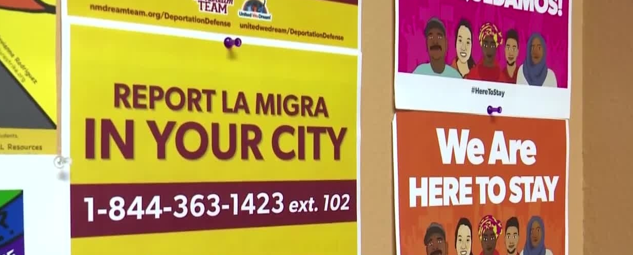 Hotline open for undocumented immigrants seeking advice