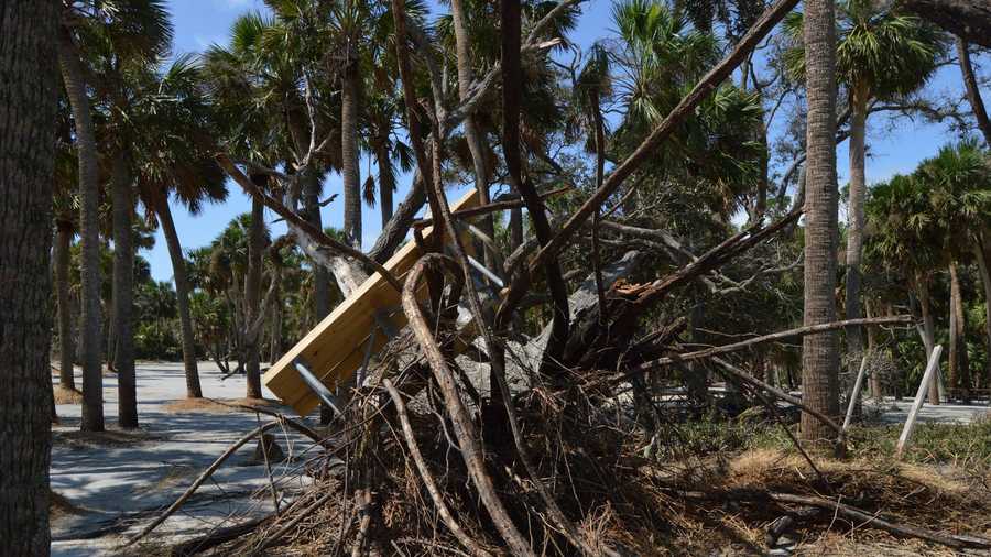 Hunting Island State Park Irma Hunting Island State Park Irma