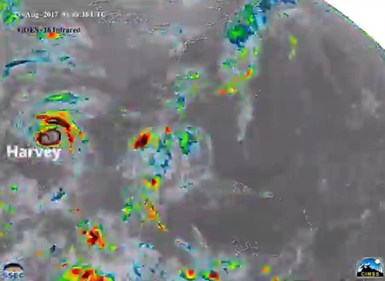 Watch 2017 Atlantic hurricanes race across tropics in this NOAA timelapse - Orlando news - NewsLocker