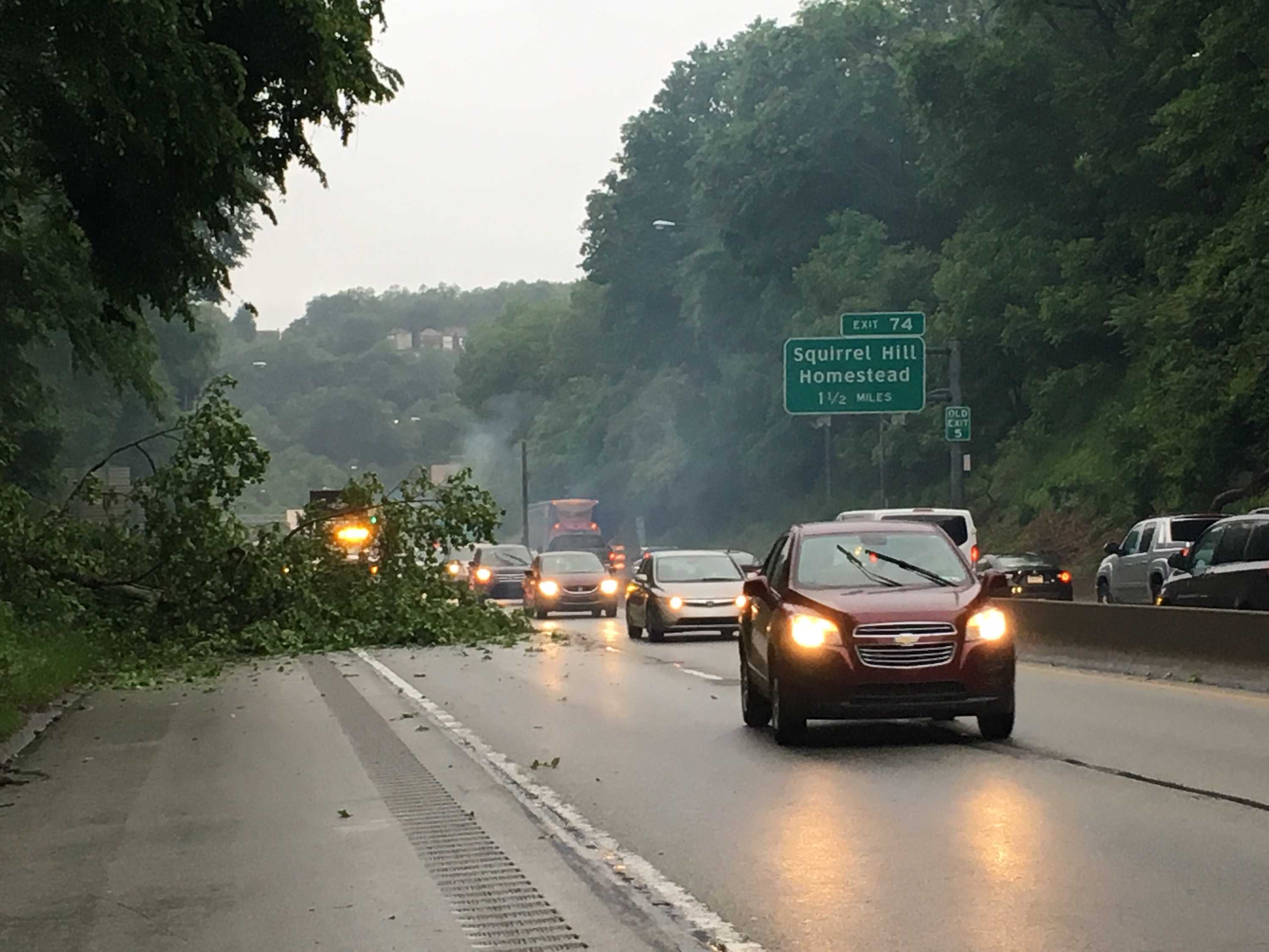 Tree falls on Parkway East, causing traffic backups