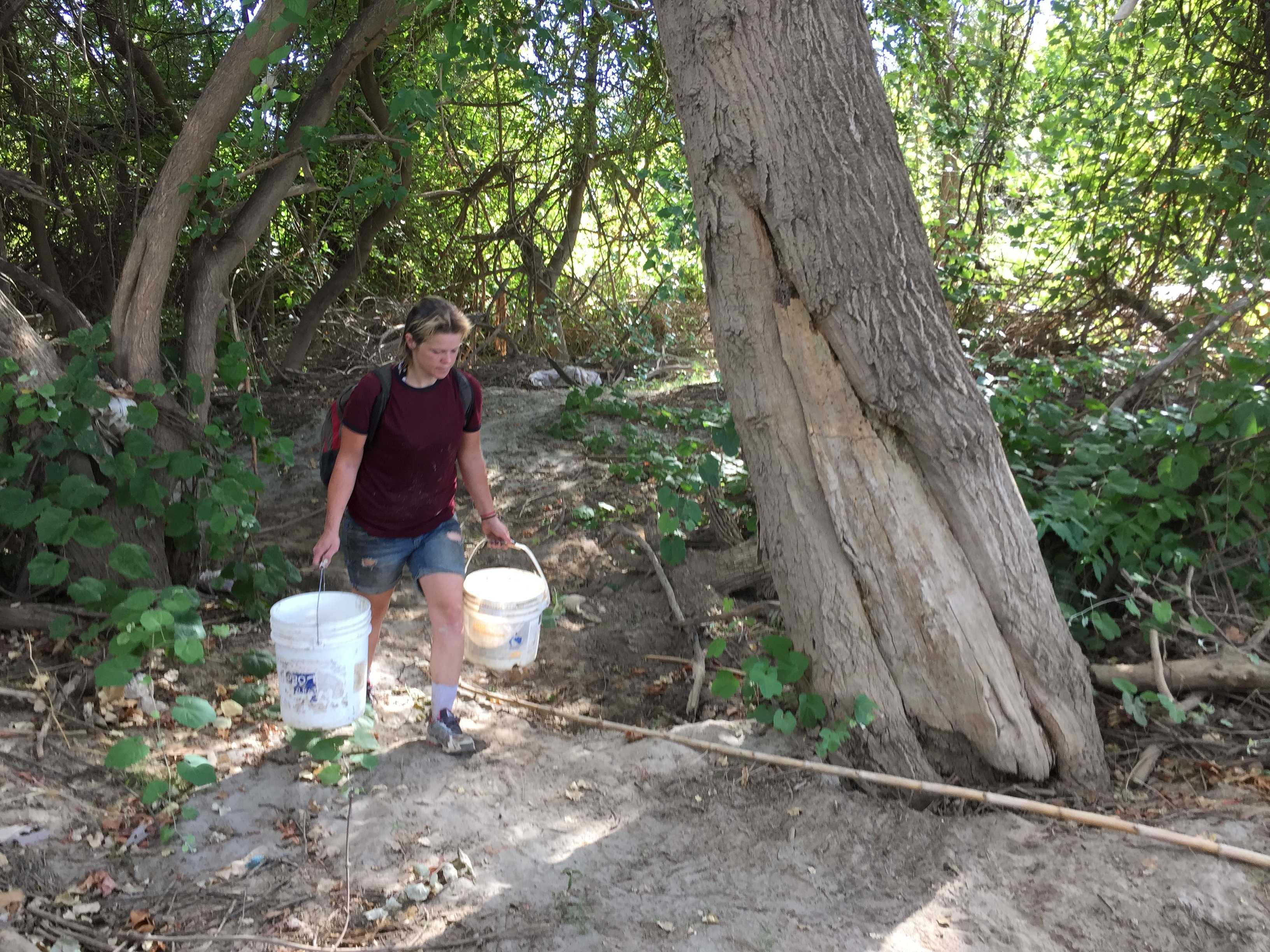 Sutter County struggles to shelter growing homeless population