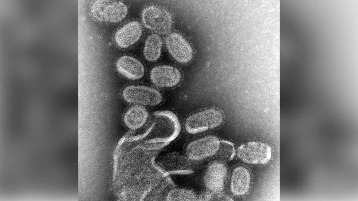 Number of NH flu deaths this season now highest on record