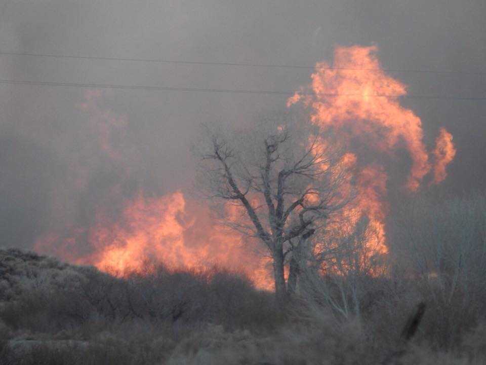 Wildfire in central California forces evacuations