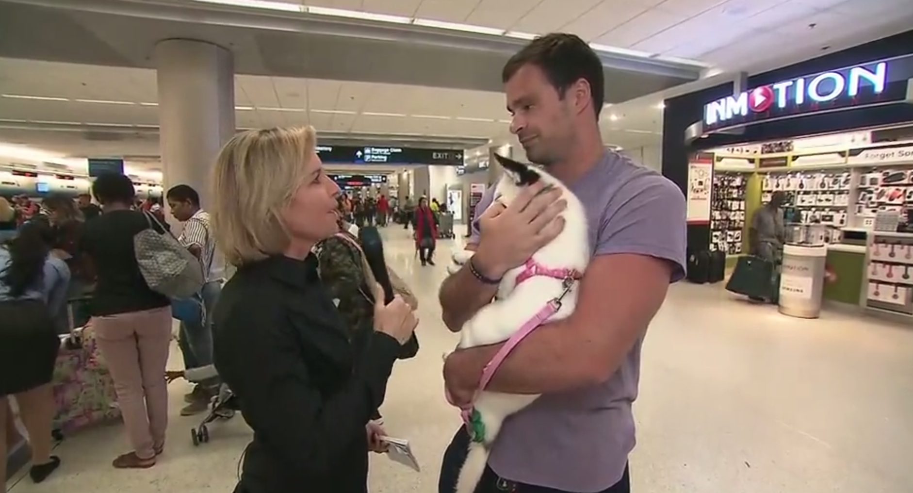 Irma evacuee unable to board flight with dog