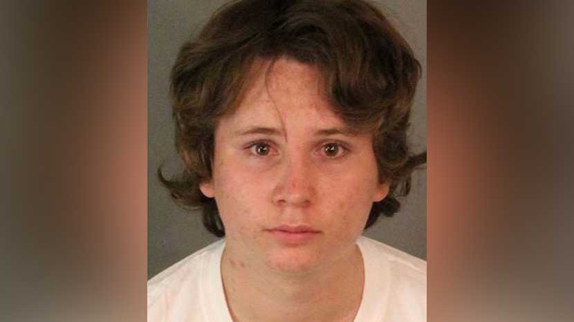Teen admits to molesting 50 children in California