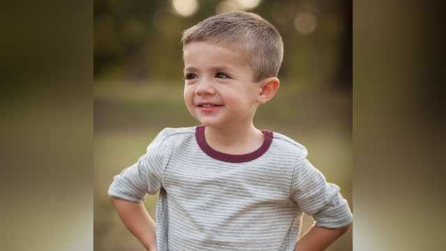 Four-year-old boy dies after treehouse collapses on Christmas Eve