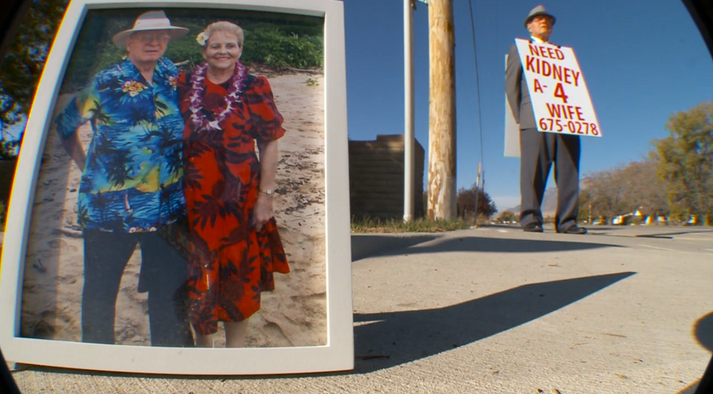 Image result for wayne winters kidney