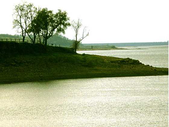 Man's body pulled from water at Lake Camanche