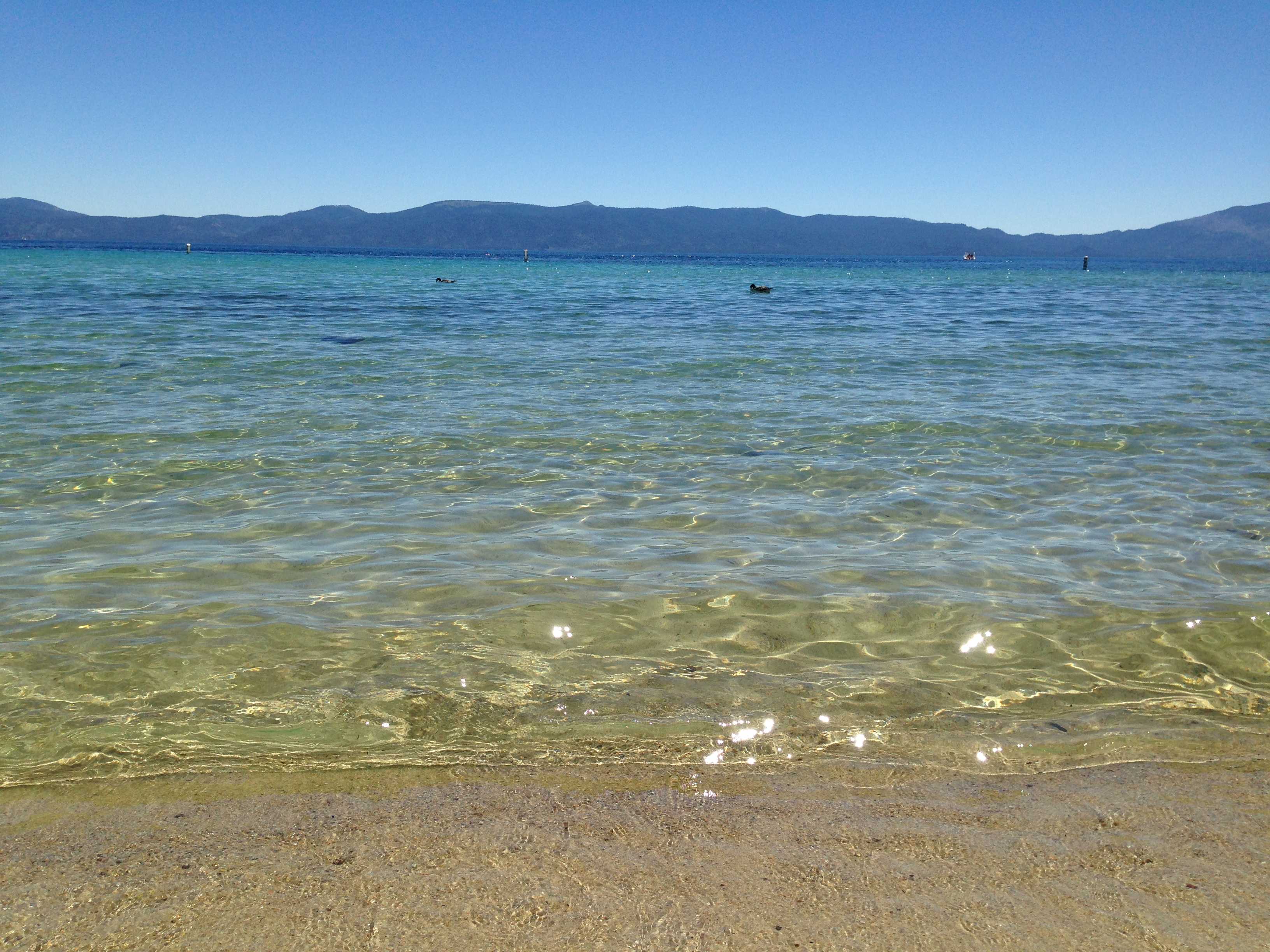 South Lake Tahoe considers ban on Styrofoam