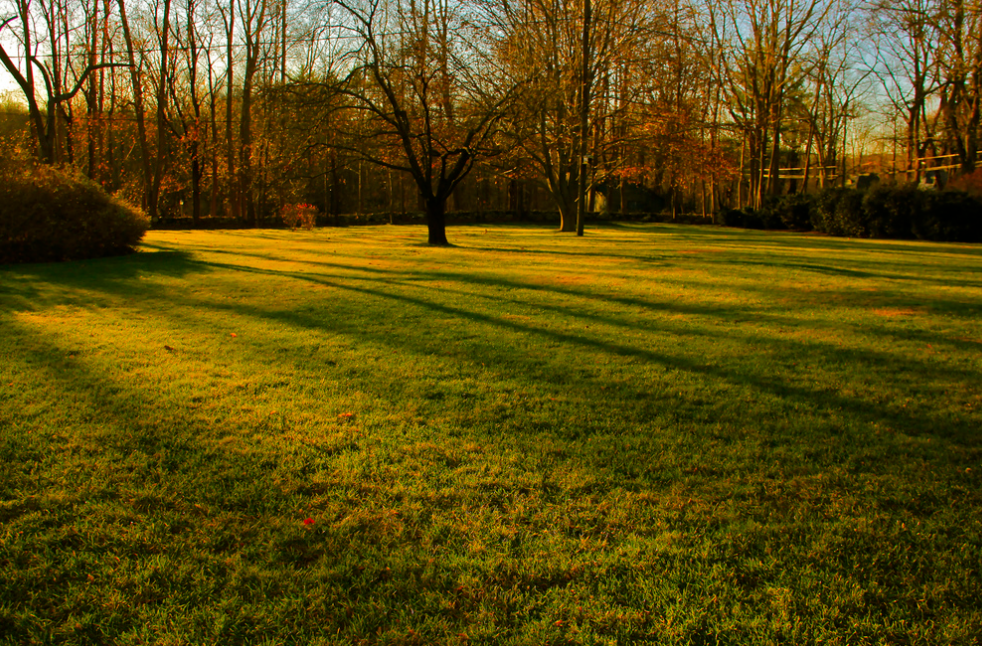 Man admits to slicing officer's ear with lawn ornament in confrontation