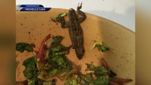 FDA investigating after nursing mom finds dead lizard in bagged salad