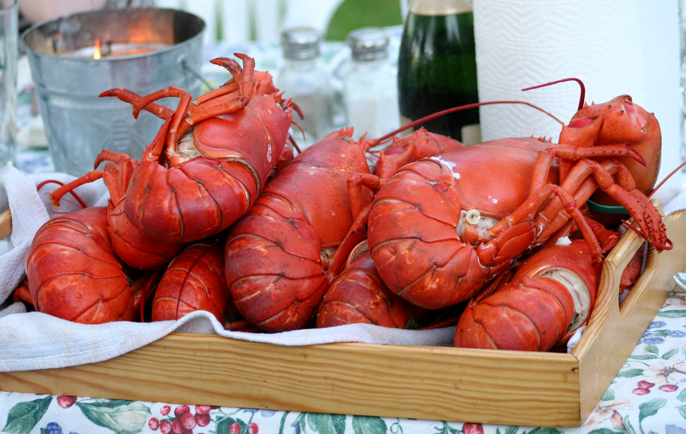 Switzerland bans boiling lobsters alive