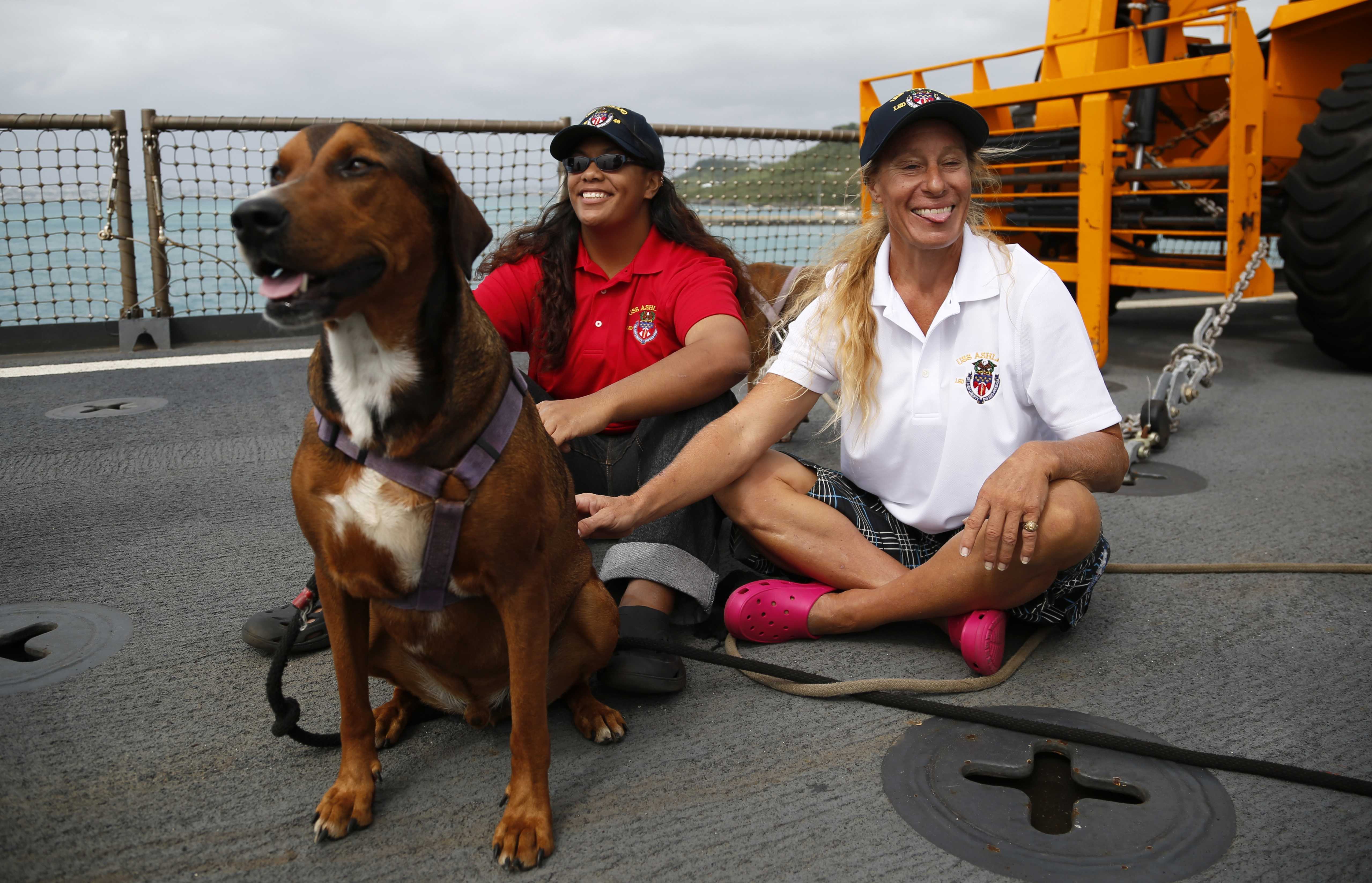 Inconsistencies cast doubt on harrowing tale of sea survival