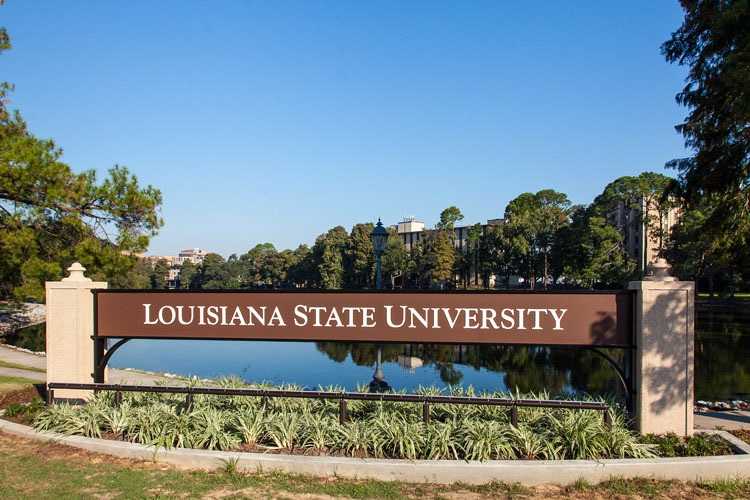 College student who died in possible hazing accident had high blood-alcohol level, THC in system