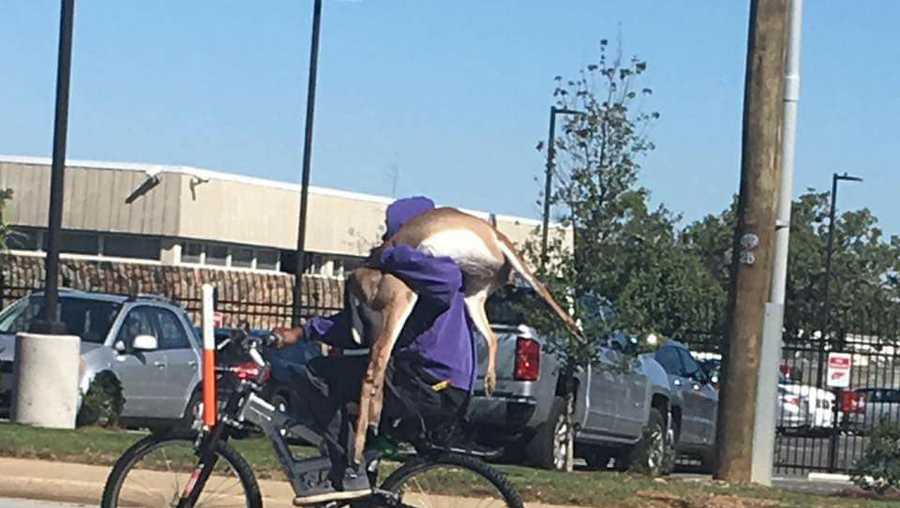 So Heres A Man Riding A Bicycle With A Deer On His Shoulder On A Sc Roadway