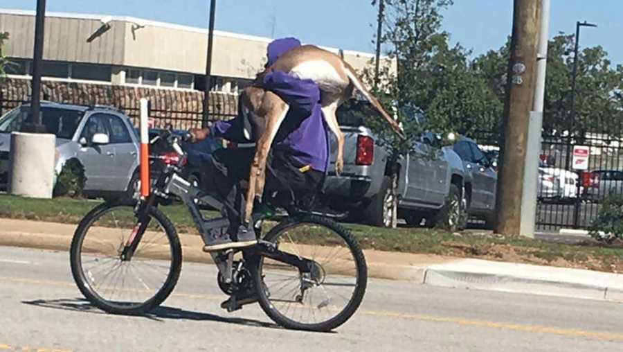 so here s a man riding a bicycle with a deer on his shoulder on a
