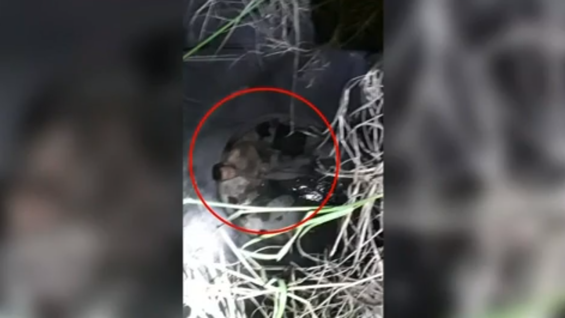 Man rescued from manhole after being trapped for 6 days