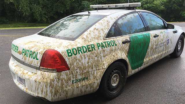 Farmer accused of spraying manure on border patrol cruiser