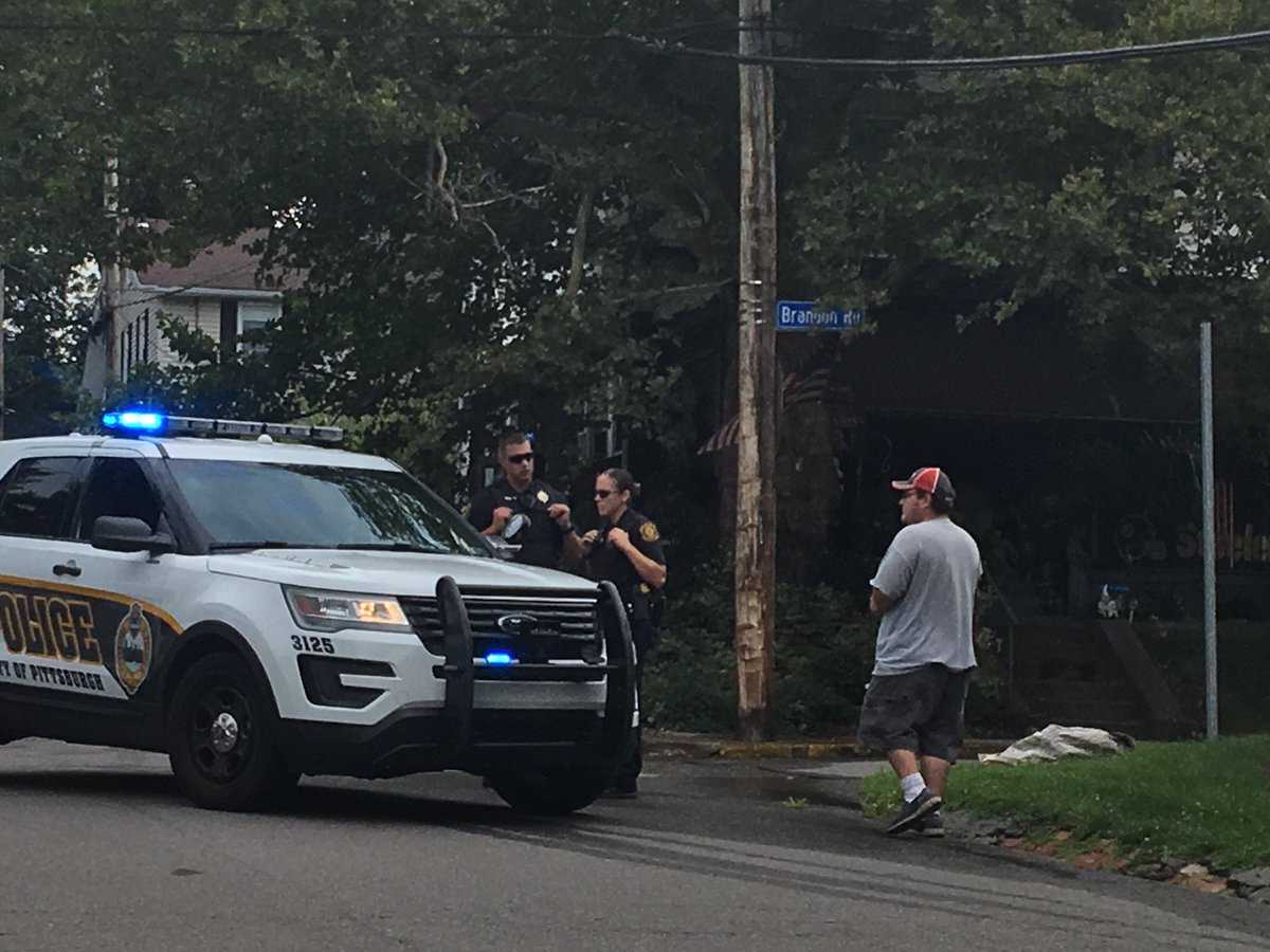 Police: Woman started fire in own home, stabbed three dogs