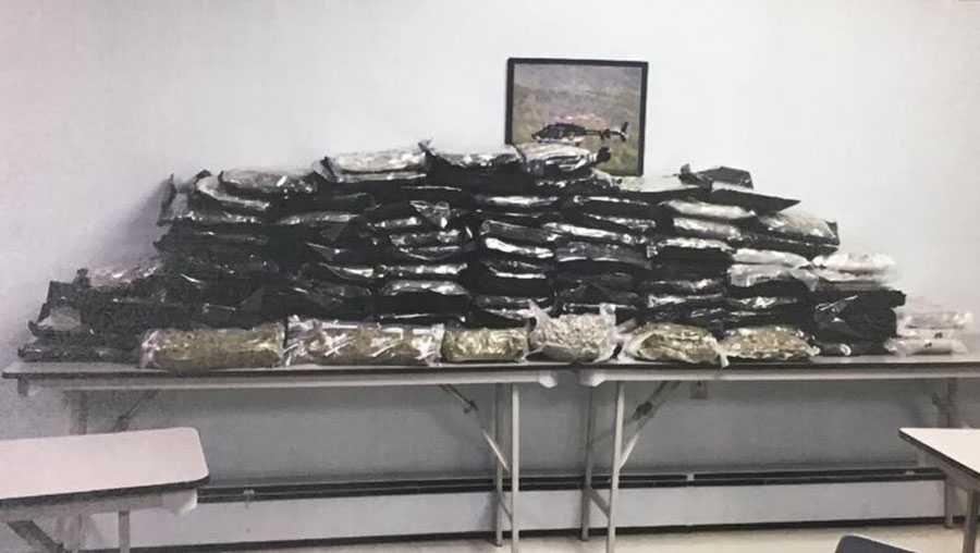 Penn Township K-9 helps lead police to 100 pounds of marijuana in Westmoreland County
