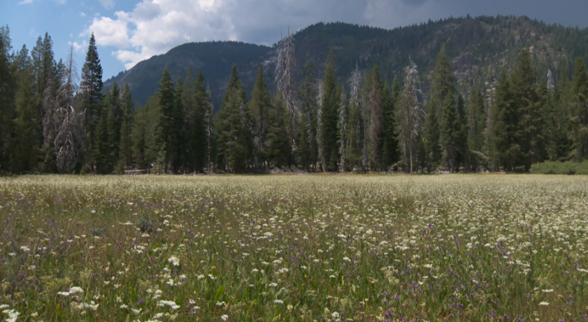 7 things to know about Truckee’s ‘Secret Garden’