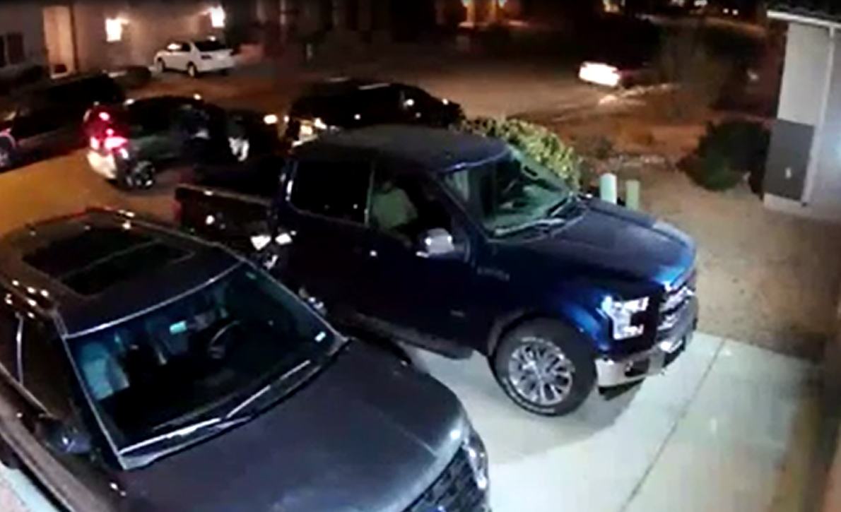 Thieves caught on camera breaking into string of cars