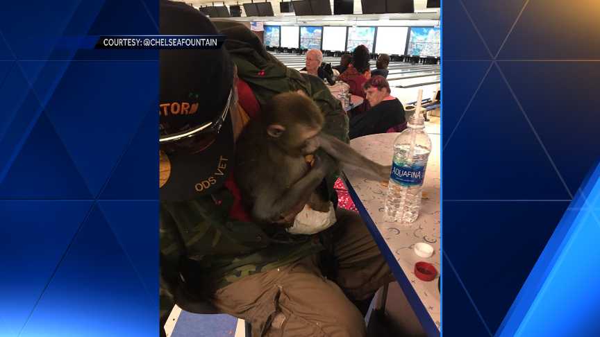 Bowling alley helps victims, including a monkey