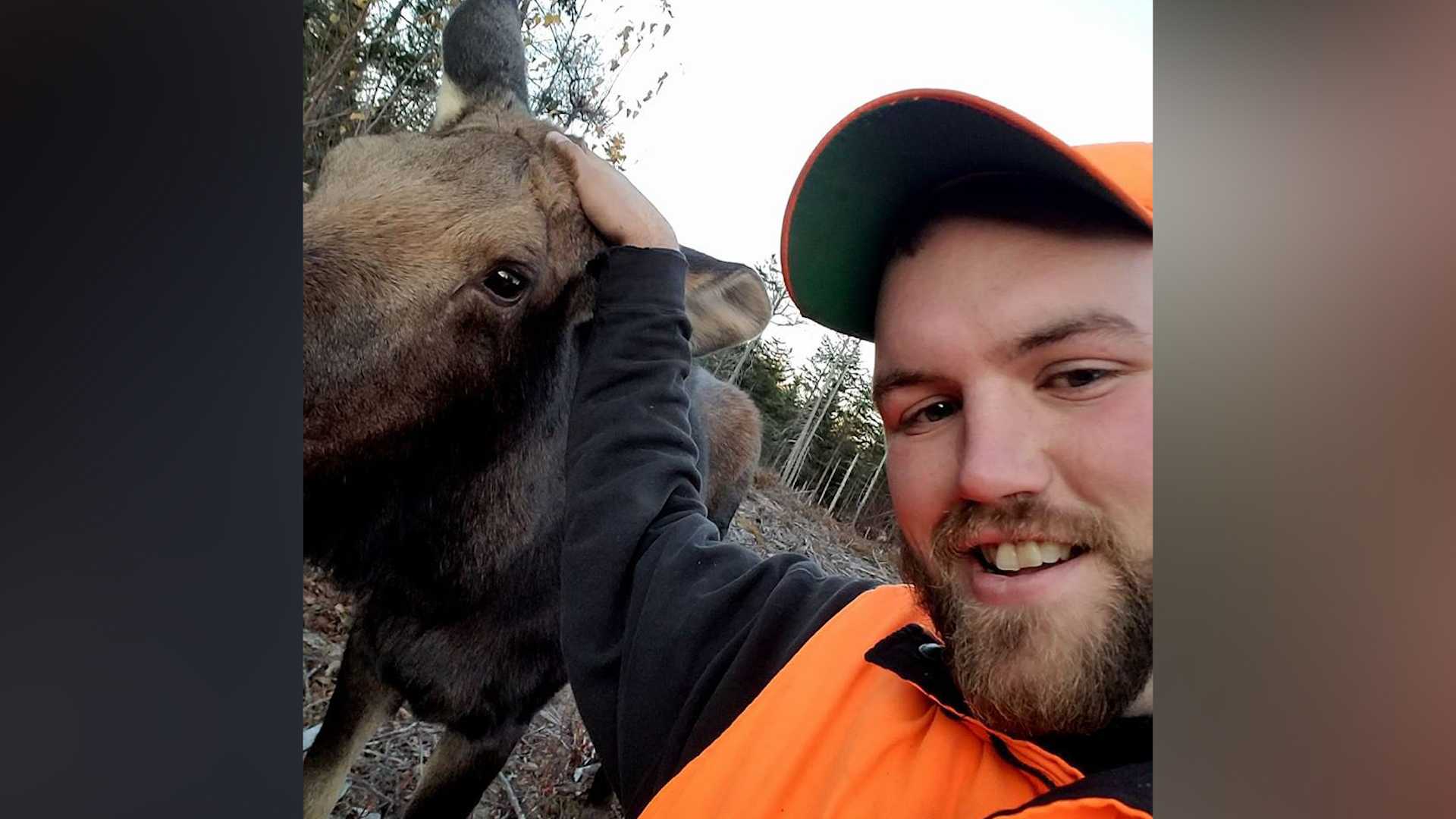 Incredible video: Hunter has up-close encounter with moose