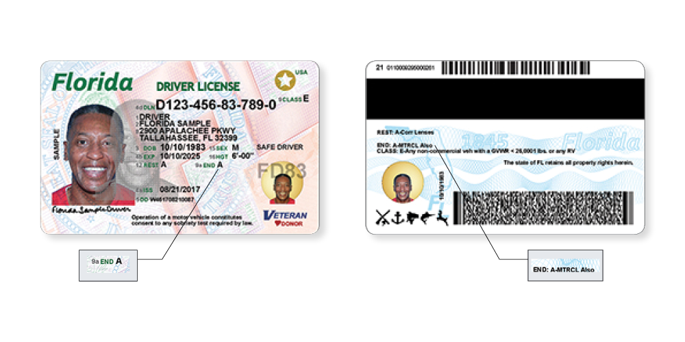 fl drivers license check