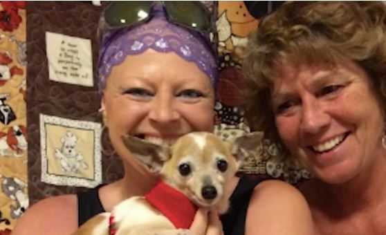 Dog abandoned in trash comforted foster mom during chemotherapy