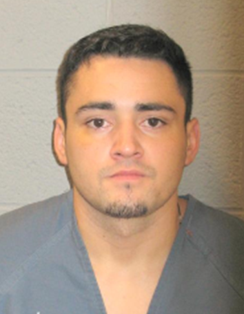 Auto theft suspect leads police on pursuit