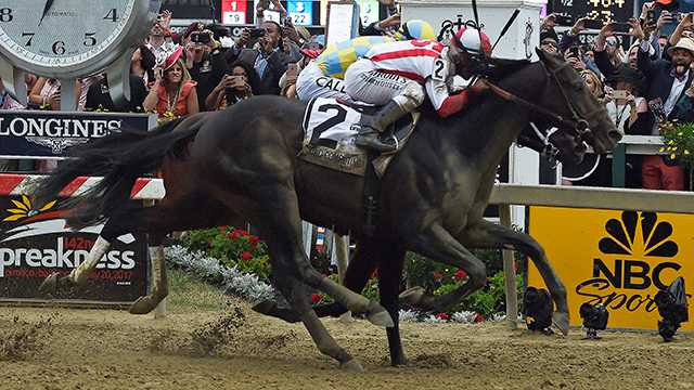 Cloud Computing springs Preakness upset as Always Dreaming fades