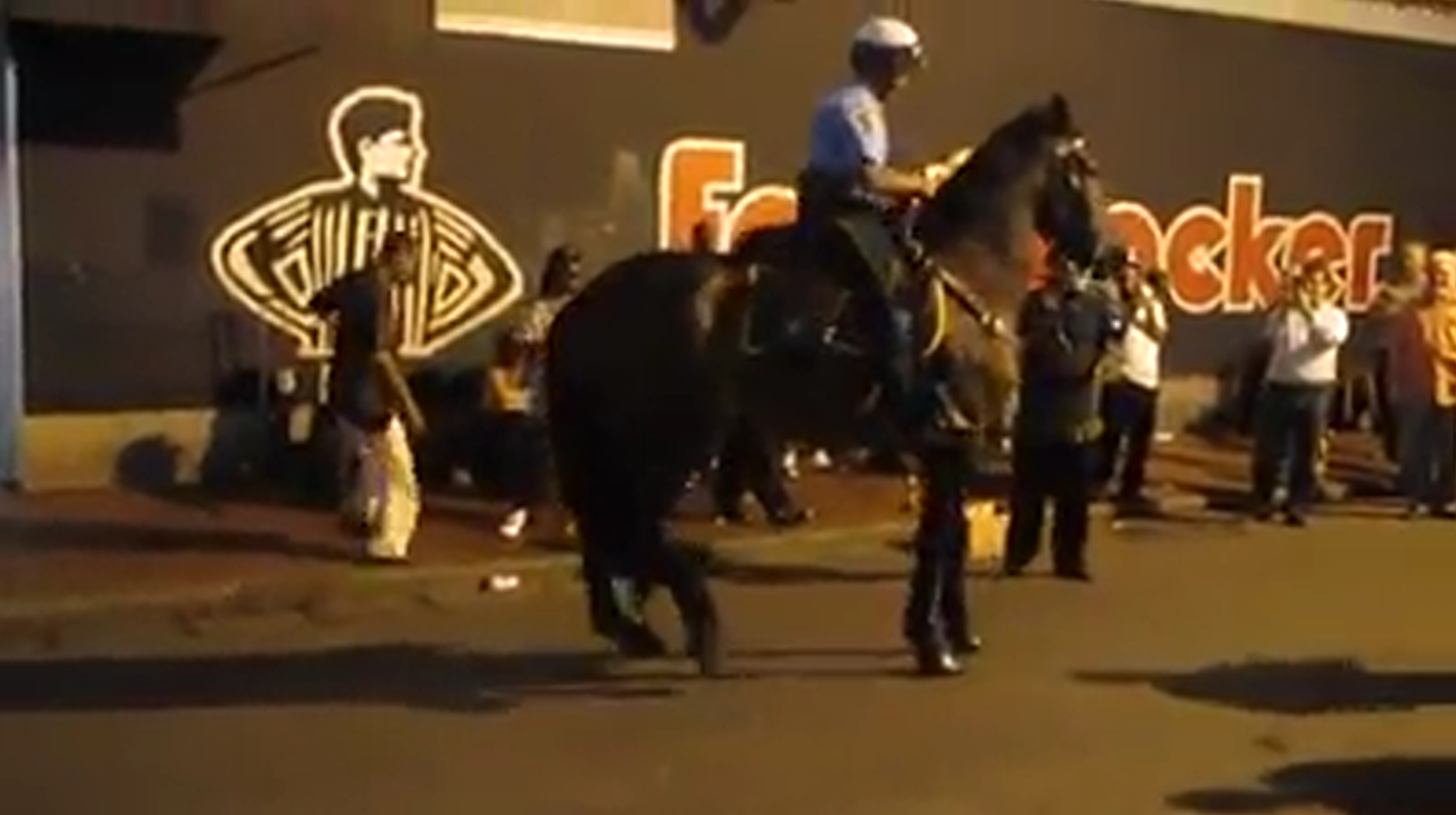 Even the police horses dance when they're on Bourbon Street