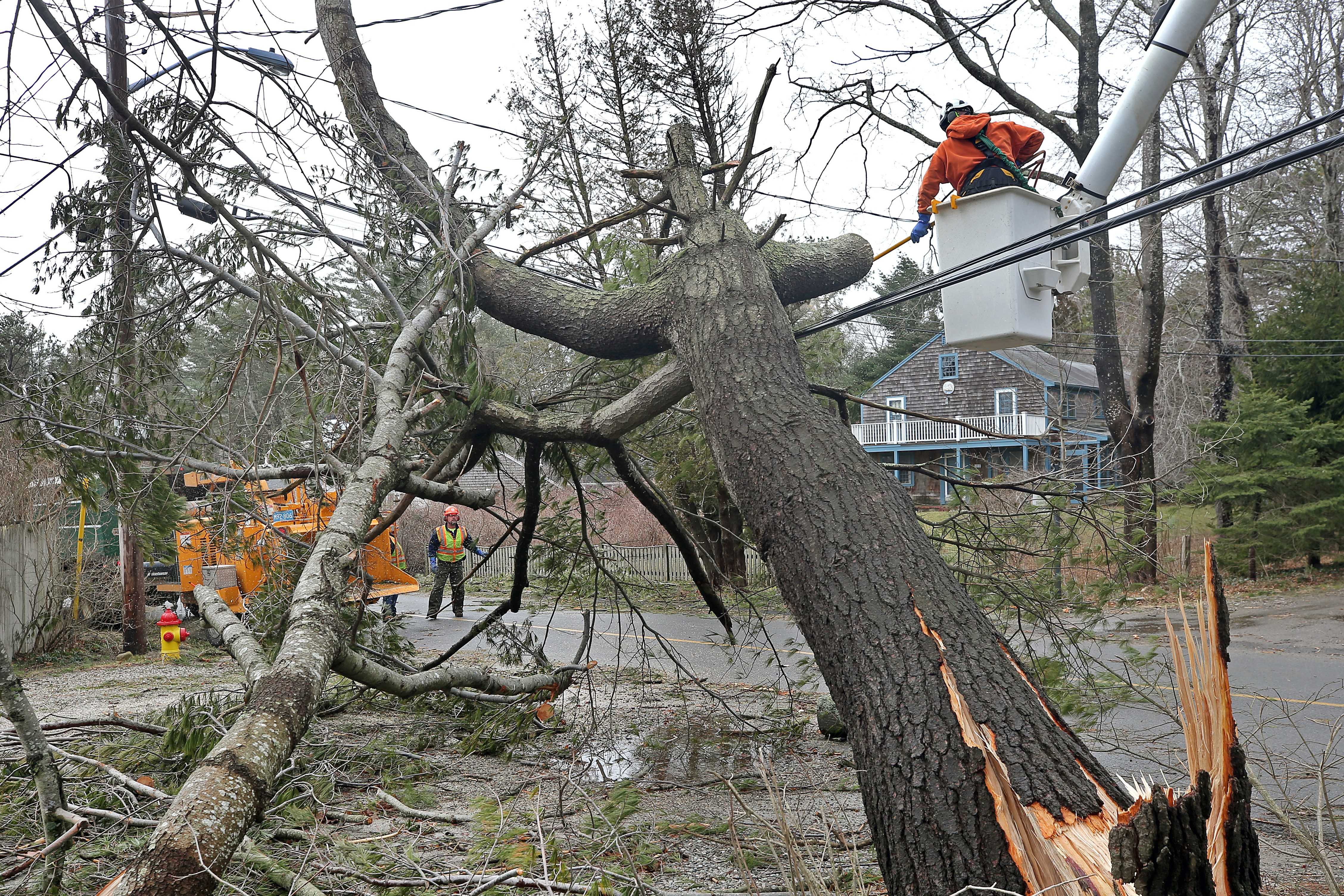 Another nor'easter to strike with 50 million under winter storm watch or warning