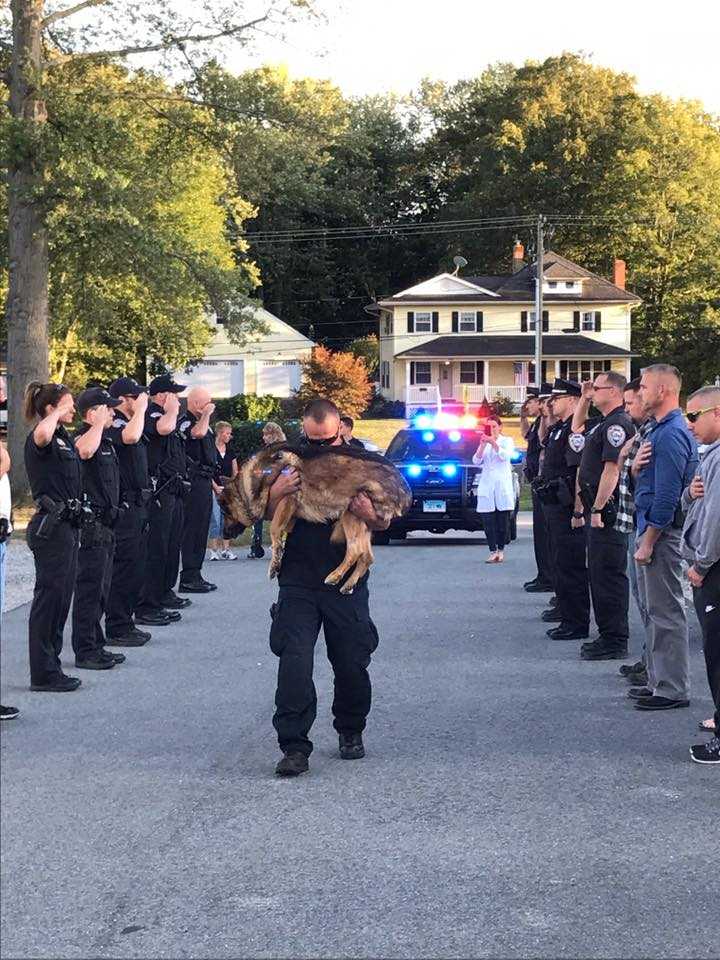 Heartbreaking photo shows officer saying goodbye to his K9 partner