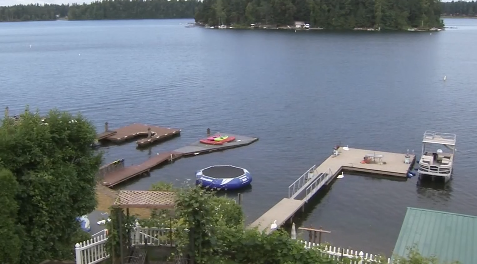 Otters attack dog, dragging it under water