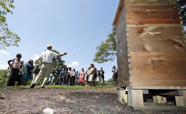 VP residence buzzing with new beehive