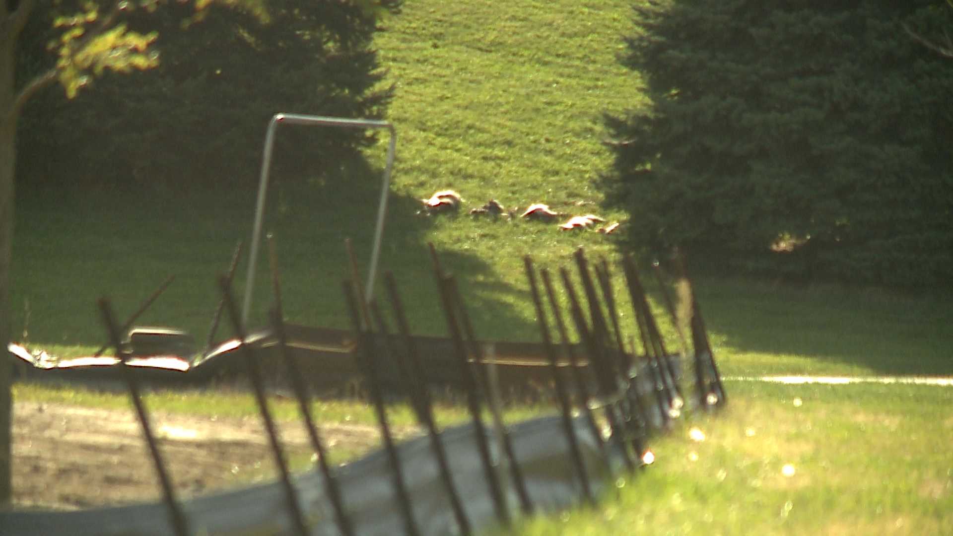 College science project draws complaint