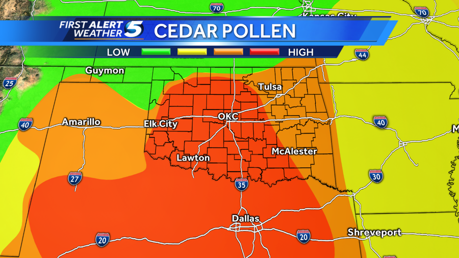 Cedar fever starts early this year, allergy sufferers already feeling it.