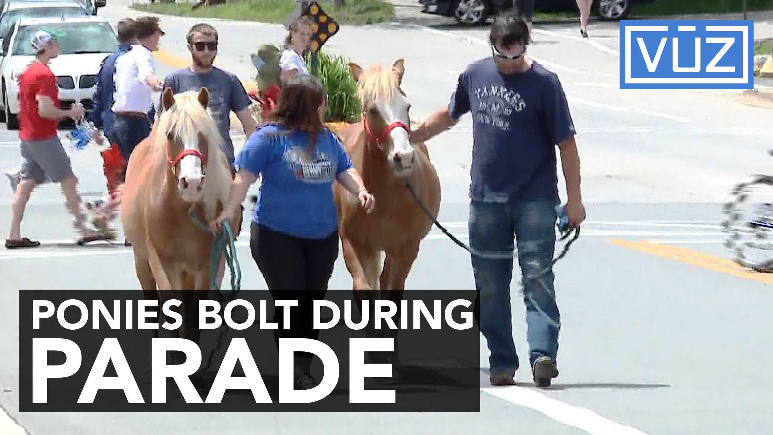 Ponies bolt into crowd at parade