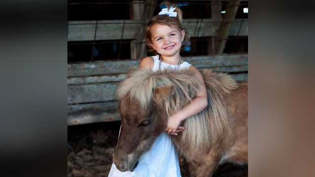 Family’s dwarf pony ‘Chicken Nugget’ shot to death at close range