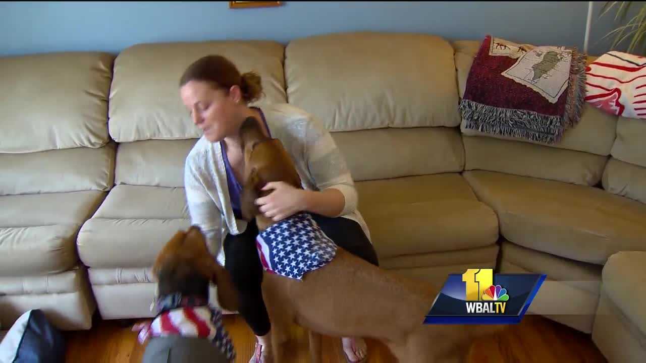 Dogs on Deployment cares for service members' pets