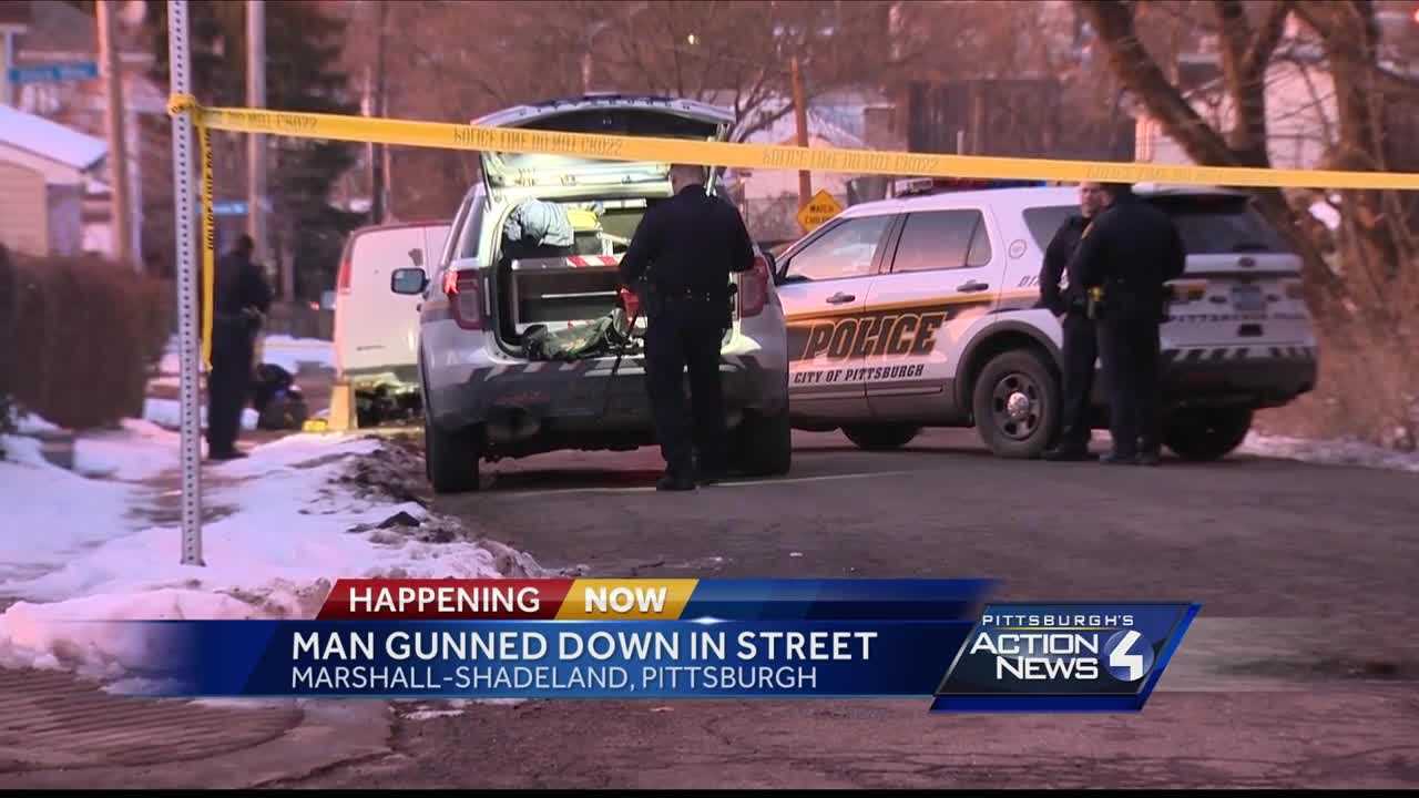 Man killed in Marshall-Shadeland shooting identified