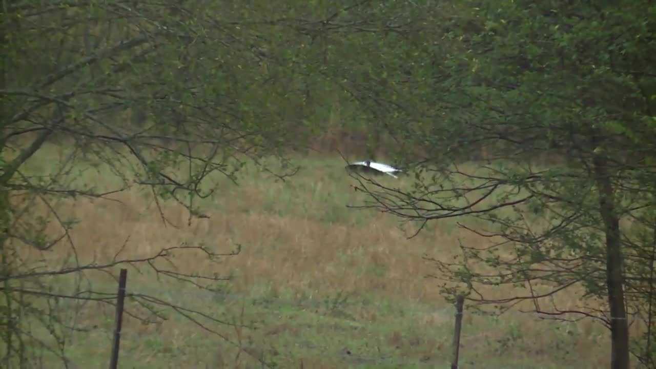 Pilot dead in small plane crash in Atlanta suburb Pilot dead in small plane crash in Atlanta suburb