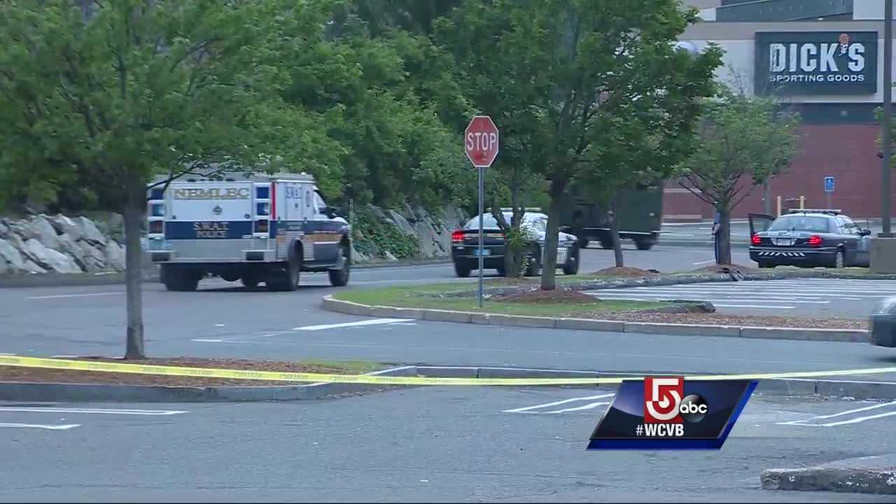 Teen in custody after breaking into mall, stealing gun, police say