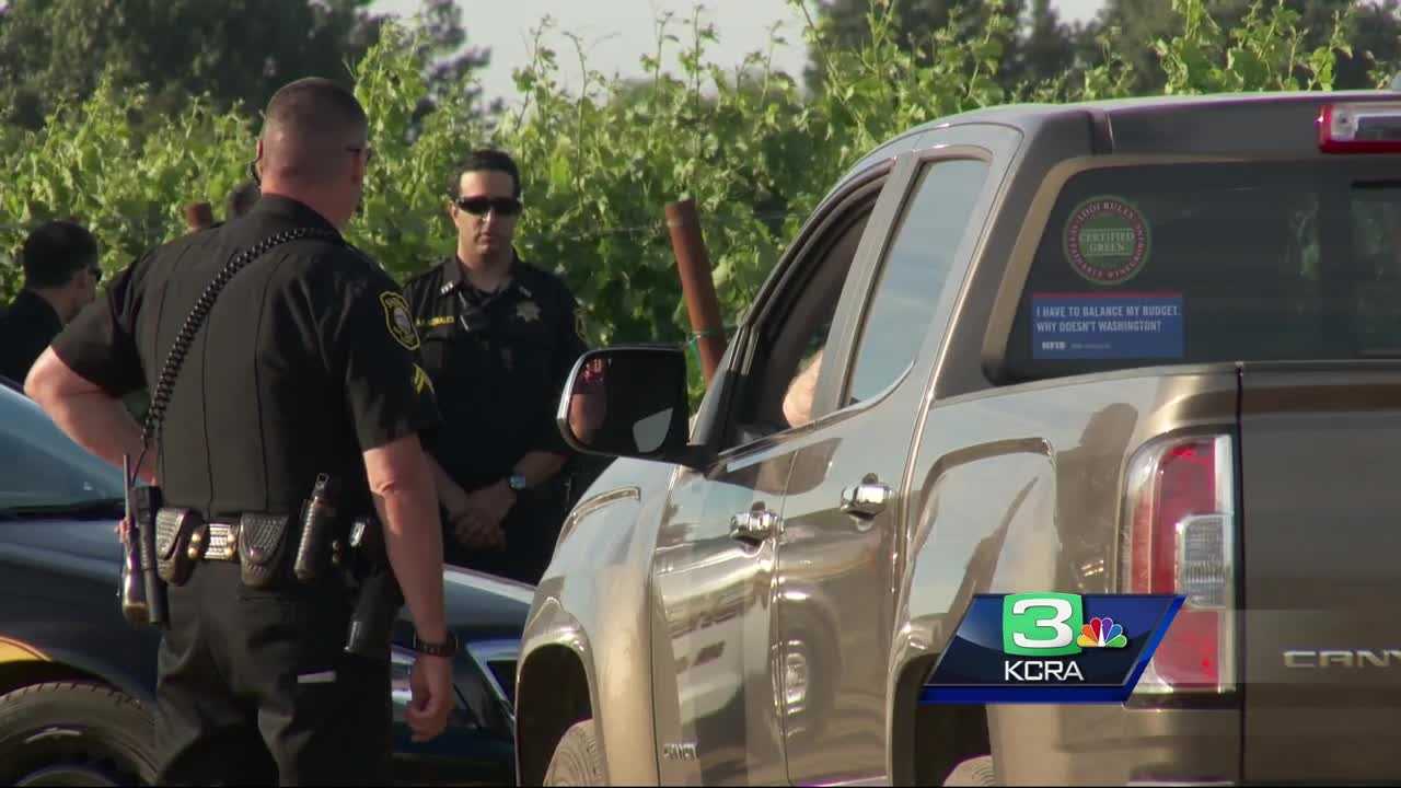 Skydiver dies in accident near Lodi airport