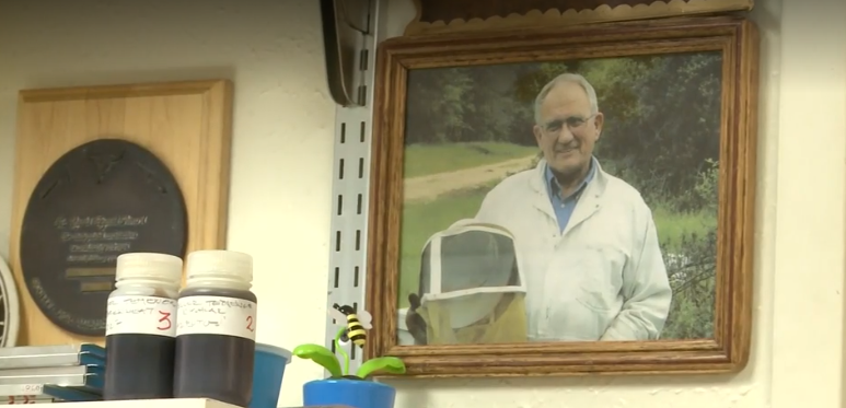 'You can't keep the busy bee down': College professor keeps working after leukemia diagnosis