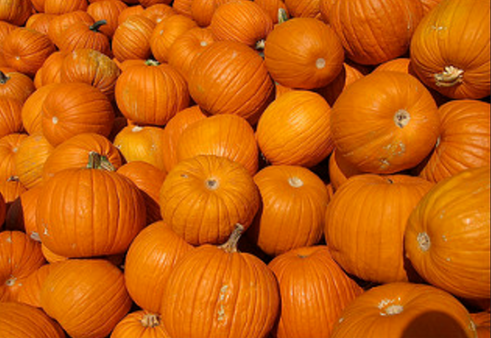 Why are we so obsessed with pumpkin spice?