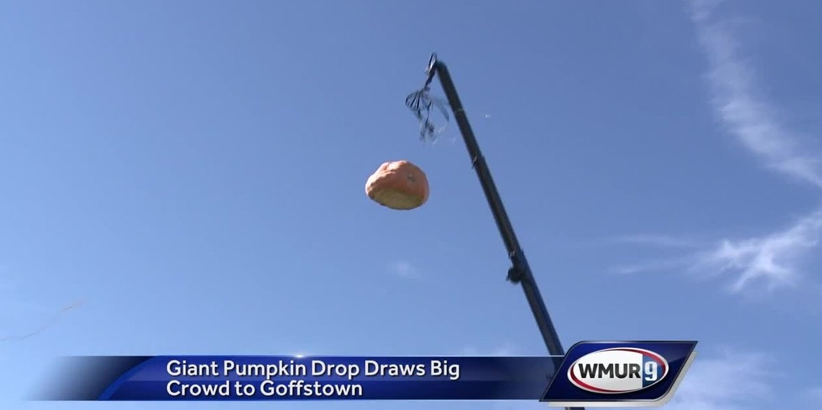 WATCH: 1,500-pound pumpkin dropped into giant inflatable pool